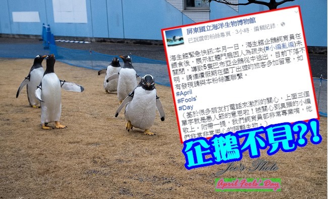 不好笑?! 海生館5企鵝脫逃愚人節玩笑挨批 | 華視新聞