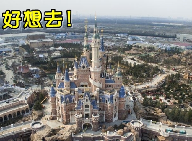 超難買的上海迪士尼門票 7歲小土豪搶到20張! | 華視新聞