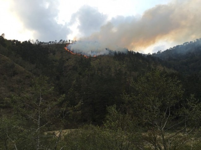 火勢延燒! 台中和平山區森林10公頃燒毀 | 華視新聞