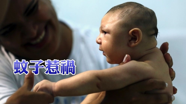 美疾病防治中心證實 「茲卡病毒導致小頭症」 | 華視新聞