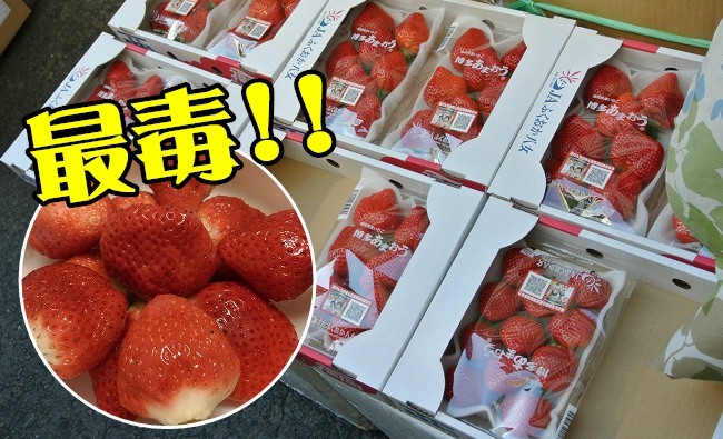 最毒12蔬果 草莓打敗蘋果列毒王 | 華視新聞