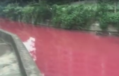 血流成河!? 桃園平鎮驚見”西瓜汁” | 整條河呈現不自然的紅色