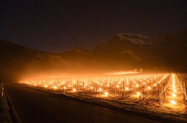奇景! 瑞士怕葡萄凍死 點蠟燭幫取暖 | 華視新聞