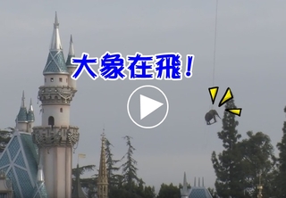 【影片】真的有小飛象?! 迪士尼上空驚見飛天大象