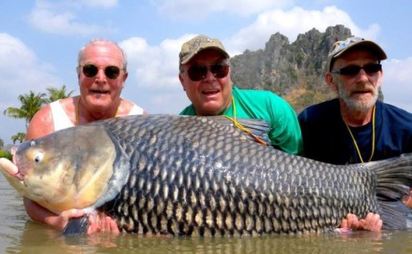 骨灰當魚餌竟釣到大魚 他們稱好友顯靈 | 去年3人遊泰釣魚好盡興.相約今年要再遊泰.