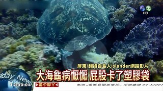 塑膠袋卡肛門 大海龜病懨懨