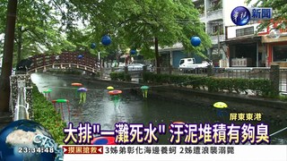 大排變臭水溝 水母燈只能遠觀