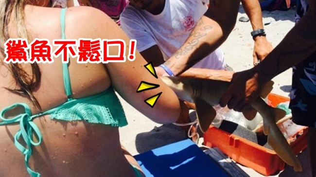 女遭鯊魚緊咬不放 連人帶"鯊"上救護車! | 華視新聞
