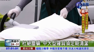 潮濕悶熱易孳生 塵螨橫行釀過敏