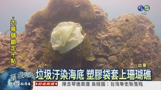 垃圾汙染東海岸 塑膠袋纏珊瑚