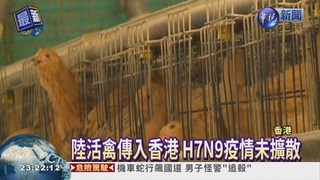 港爆H7N9禽流感 政府禁宰殺