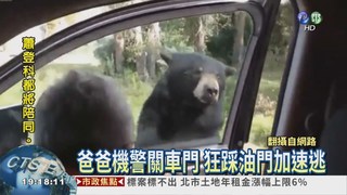 黑熊突開車門! 嚇壞一家大小