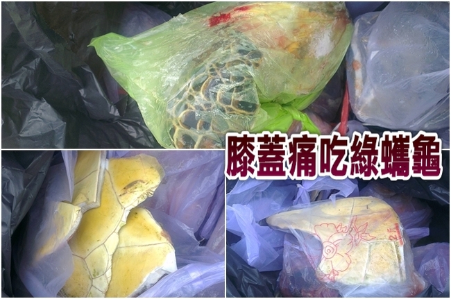 消防員傳訊息揪吃綠蠵龜 想煮「龜鹿二仙膠」 | 華視新聞