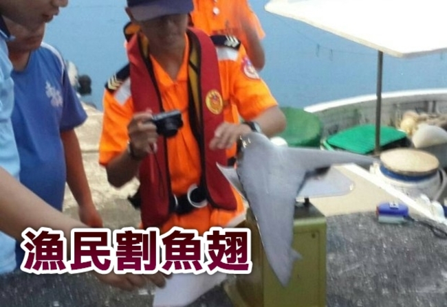 這款漁民! 取”魚翅”殘忍丟斷鰭鯊魚入海 | 華視新聞