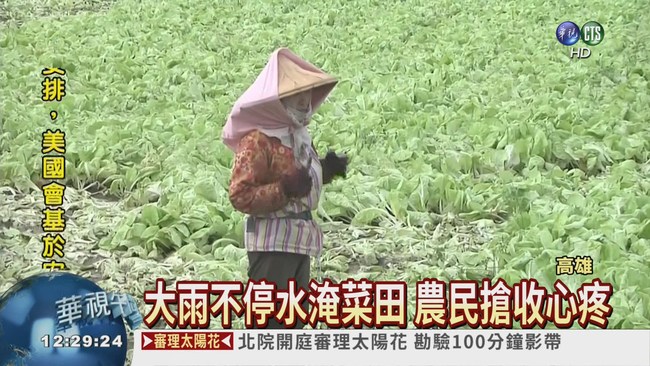 連日雨傷農 蔬菜減產漲3成! | 華視新聞