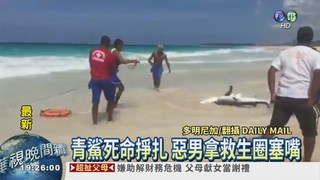 虐死鯊魚拍照 救生員被罵翻!