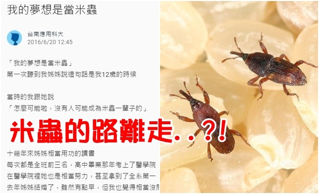 他姐布局11年成功"當米蟲" 這招引發網友論戰... | 華視新聞