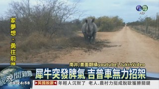 獸性大發! 犀牛攻擊觀光客座車