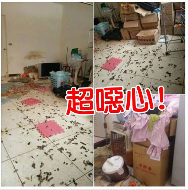 惡房客欠租落跑 屋內髒臭還有滿地"花生殼" | 華視新聞