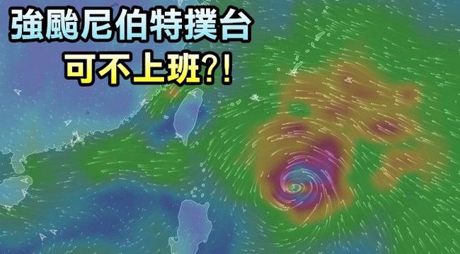 【強颱尼伯特】颱風天要上班?! 勞動部法令這樣說 | 華視新聞