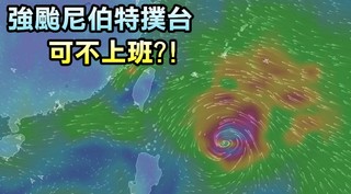 【強颱尼伯特】颱風天要上班?! 勞動部法令這樣說
