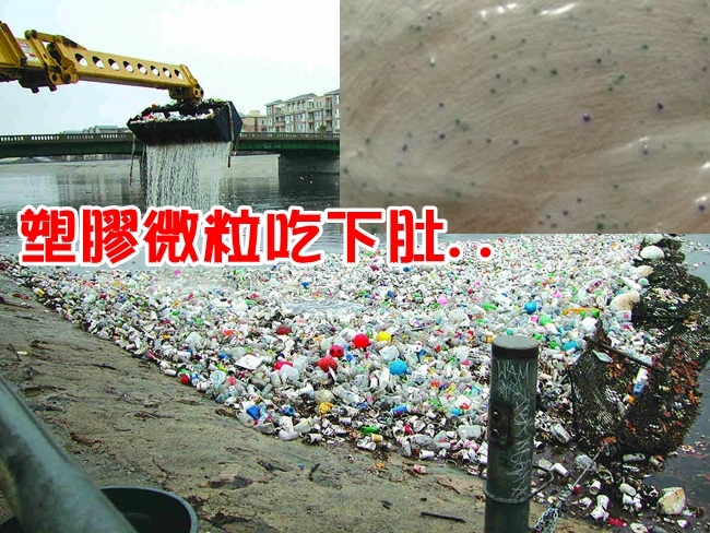海鮮食安危機! 8百噸塑膠流入海恐下肚 | 華視新聞