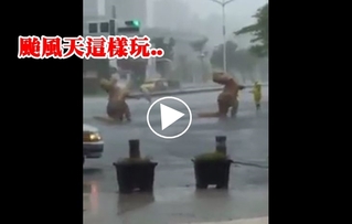 【影】太無聊?! 這2隻恐龍颱風天在高雄街頭跳舞