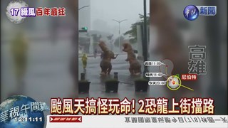 颱風天搞怪! 2"恐龍"跑上街