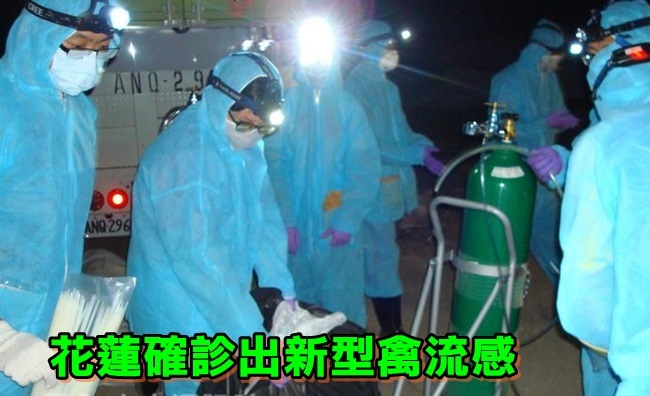 花蓮養鵝場檢出新型H5禽流感 撲殺495隻 | 華視新聞