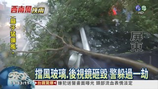 樹枝斷裂砸車 巡邏警差點受傷