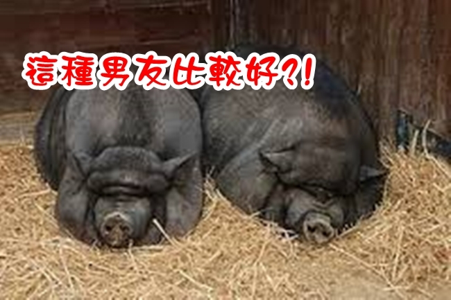 男友睡得像豬有好處 女大生這樣說! | 華視新聞
