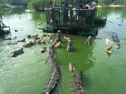 驚險玩命之旅! 陸客遊泰站浮筏"釣鱷魚" | 