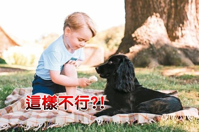 喬治王子慶生照餵狗吃冰 挨轟虐待動物?! | 華視新聞