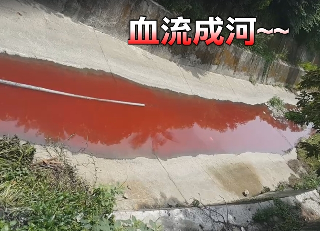 亂排廢水!? 彰化花壇土地公溪”血流成河” | 華視新聞