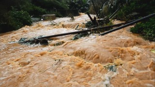 【影】澎湖花嶼雨量254.5毫米 街道變河道