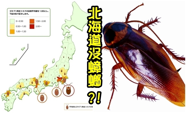 網友超羨慕! 北海道全年無"蟑螂"出沒? | 華視新聞