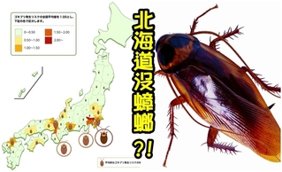 網友超羨慕! 北海道全年無"蟑螂"出沒?