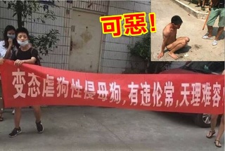 變態性侵母狗還賣淫 男子被脫光痛打!