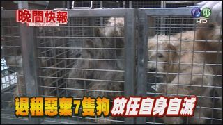 【晚間搶先報】退租惡棄7隻狗 放任自身自滅