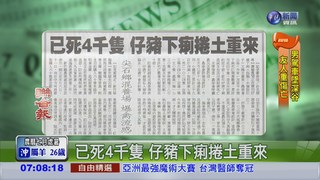 已死4千隻 仔豬下痢捲土重來