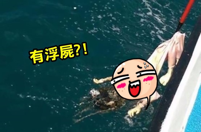 "海上有浮屍" 基隆海巡救起的是"它" | 華視新聞