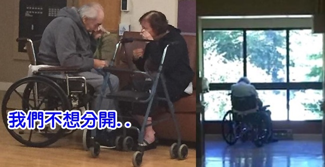 60年老伴被迫分居 這張照片讓人心疼.. | 華視新聞