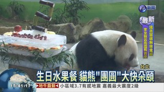 "團圓"慶12歲 動物園送冰蛋糕