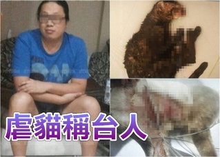 陸男泰國虐殺貓 謊稱”我是台灣人”