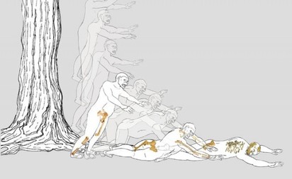 始祖露西死因 謎底揭曉竟是「摔死的」 | 學者認為人類始祖露西是從高樹上摔死的。(翻攝紐約時報)