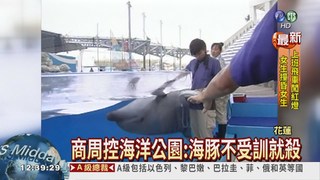 商週爆料:海洋公園虐訓海豚