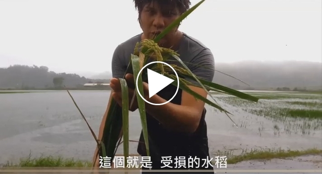 【台灣農民加油】百公頃農田淹滅 農民這樣面對! | 華視新聞