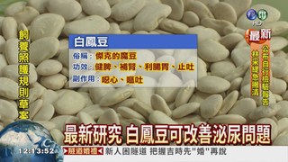 國際研究 白鳳豆可解夜尿問題