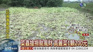 颱風菜價漲 林全:必要時釋庫存