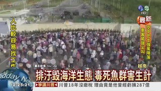 台塑越南廠排汙 數千人抗議